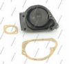 NISSA 741001121 Water Pump